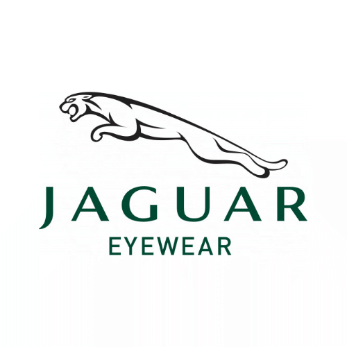 jaguar_homepagelogo.gif